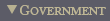 Government